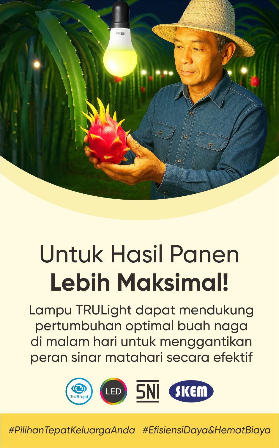 banner web trulight b hp