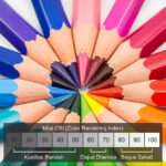 Mengapa CRI pada Lampu Sangat Penting? Rahasia Warna yang Lebih Hidup dan Natural